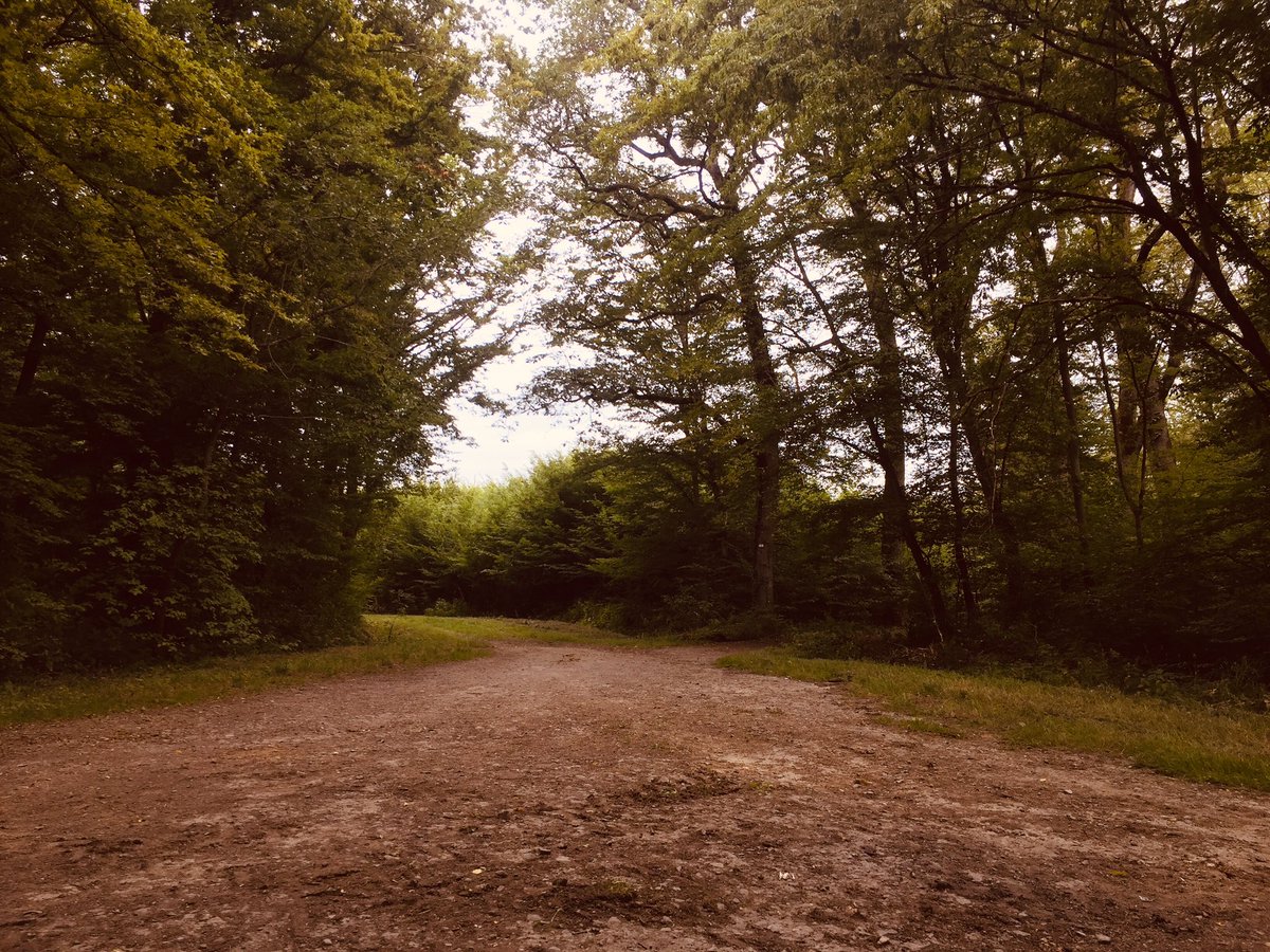 sebmar57's tweet photo. 10 km de balade dans la nature au grand air 😊 - avec @anthalys #Moselle #BasseHam https://t.co/Uy9rZhHqST