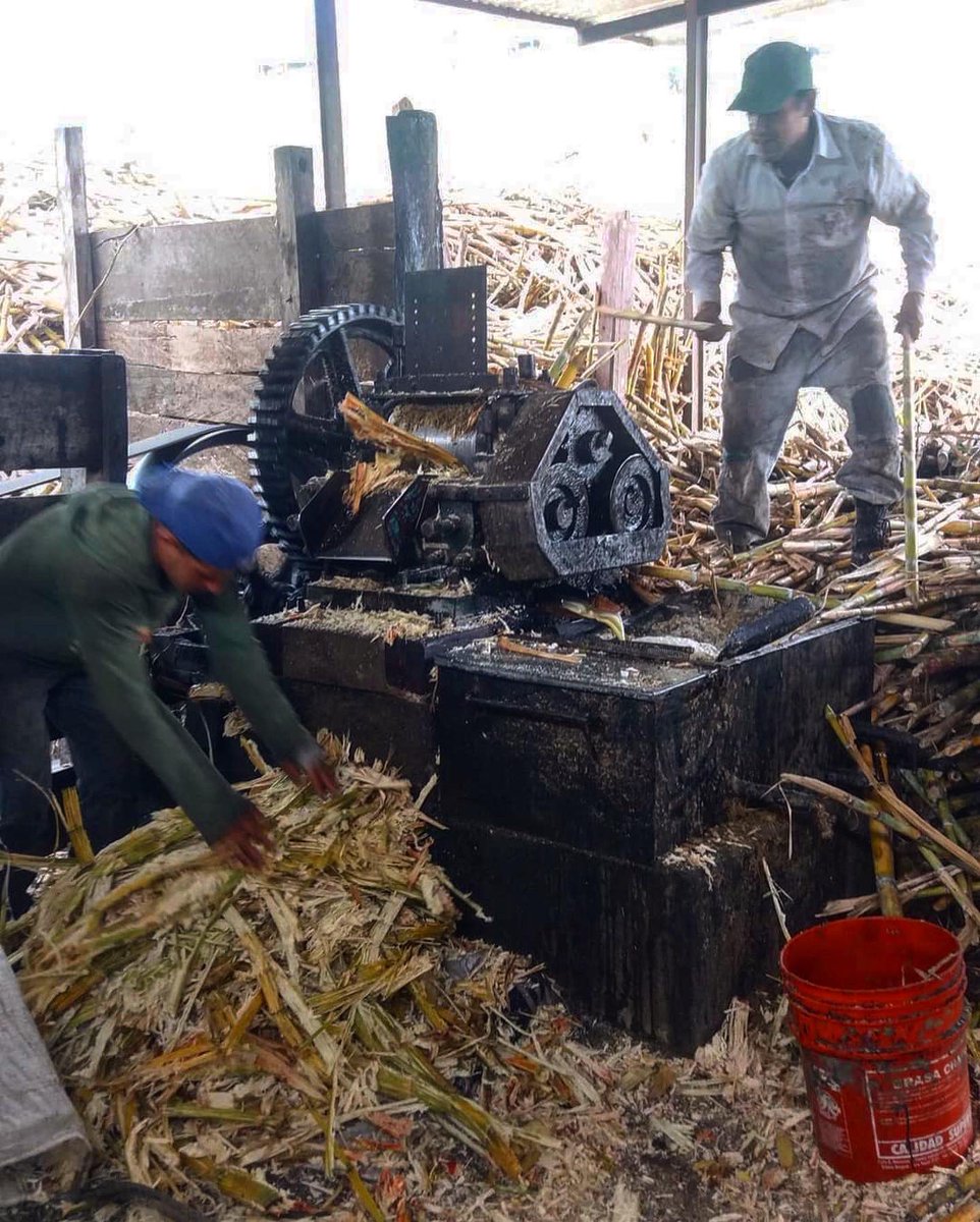 Tachira_Natural's tweet photo. Hay un producto que resalta en la alimentación del andino, es la bebida por excelencia en nuestros pueblos y campos. La panela siempre ha sido esencial, cuando visitamos los caseríos siempre nos ofrecen ¡tántica bebida! https://t.co/k1g7fHMGJo