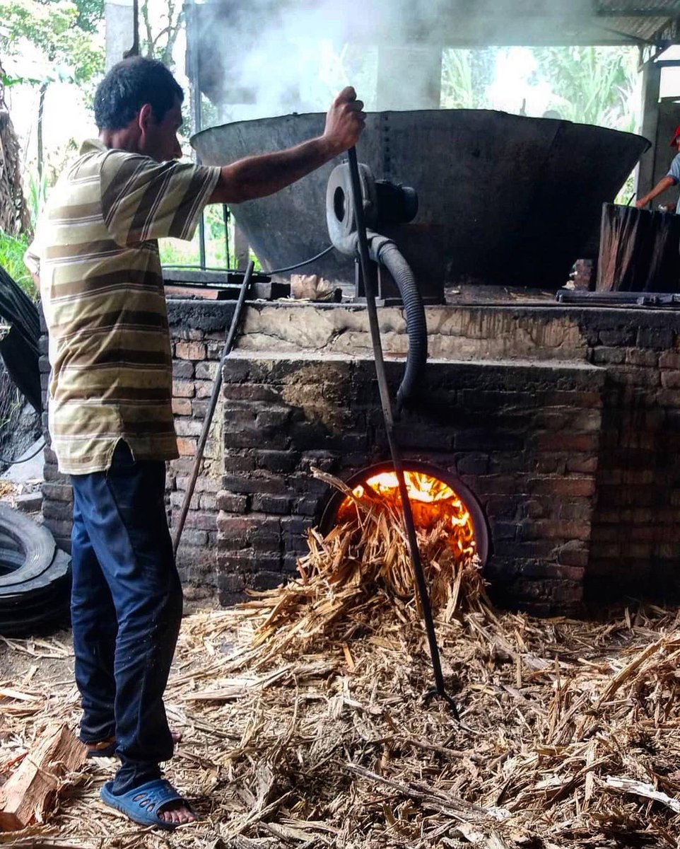 Tachira_Natural's tweet photo. Hay un producto que resalta en la alimentación del andino, es la bebida por excelencia en nuestros pueblos y campos. La panela siempre ha sido esencial, cuando visitamos los caseríos siempre nos ofrecen ¡tántica bebida! https://t.co/k1g7fHMGJo