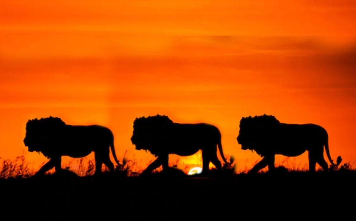 ⚽29’ — Mason Greenwood
⚽35’ — Marcus Rashford
⚽45’ — Anthony Martial