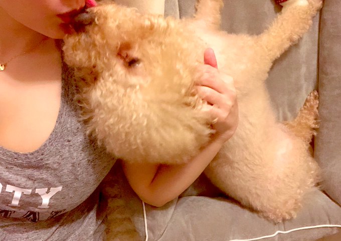 あー可愛い幸せ💕 https://t.co/f3VrKPxAyQ<a href="/tag/%E6%96%B0%E3%81%97%E3%81%84%E3%83%97%E3%83%AD%E3%83%95%E3%82%A3%E3%83%BC%E3%83%AB%E7%94%BB%E5%83%8F"class="tags"><span>#新しいプロフィール画像</span></a>