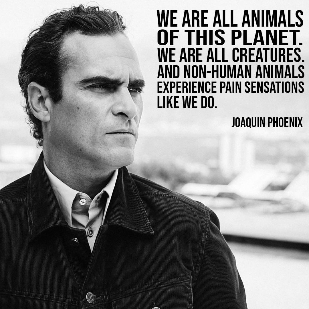 climatesavemvmt's tweet photo. We are the same in all the ways that matter.
#HealthSaveMovement
#joaquinphoenix #joker #jokermovie #batman https://t.co/yQycvYd3IE
