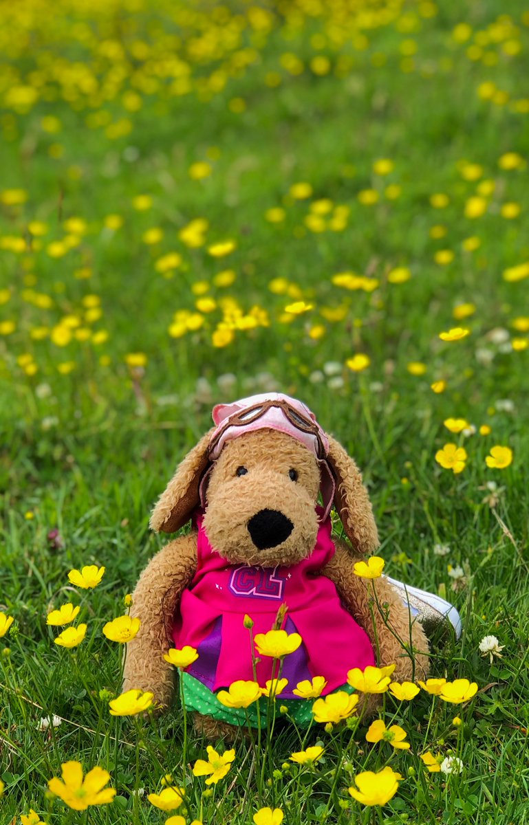 AccessibleDerbyshire (@accessibleds) on Twitter photo LOST.....one very special doggy bear today near Hardwick Inn <a href="/NThardwick/">Hardwick Hall and Stainsby Mill</a>
REWARD if found. Contact <a href="/AccessibleDS/">AccessibleDerbyshire</a>
Please share๐ข๐ข๐ข๐ข
<a href="/vpdd/">Visit Peak District & Derbyshire</a> <a href="/nationaltrust/">National Trust</a> <a href="/peakdistrict/">Peak District National Park</a> LOST.....one very special doggy bear today near Hardwick Inn <a href="/NThardwick/">Hardwick Hall and Stainsby Mill</a>
REWARD if found. Contact <a href="/AccessibleDS/">AccessibleDerbyshire</a>
Please share๐ข๐ข๐ข๐ข
<a href="/vpdd/">Visit Peak District & Derbyshire</a> <a href="/nationaltrust/">National Trust</a> <a href="/peakdistrict/">Peak District National Park</a>
