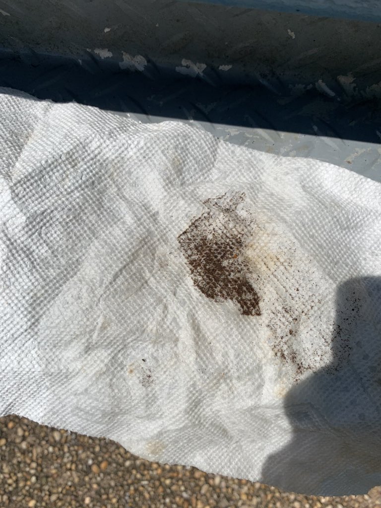 Ok here’s what blew out of the filter. I can’t for the life of me get the siphon tube into the gas tank so we are just going to wing it.