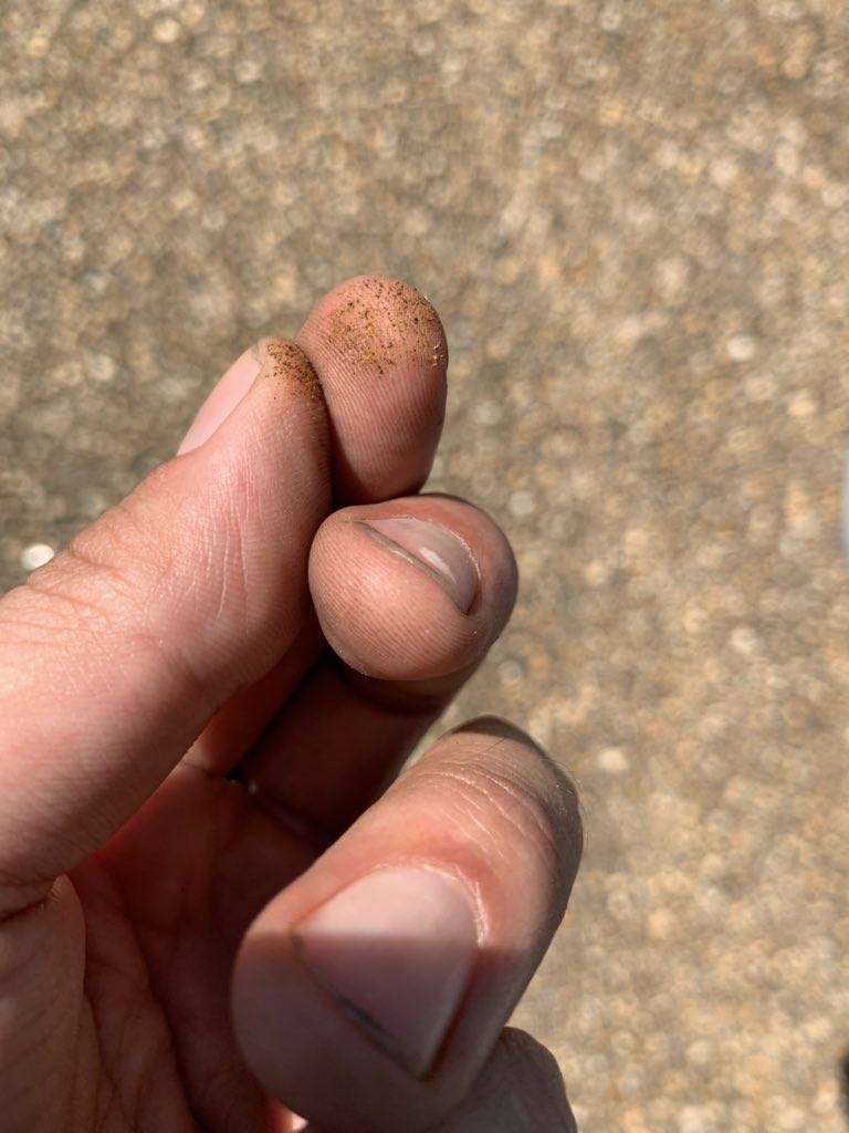 Ok here’s what blew out of the filter. I can’t for the life of me get the siphon tube into the gas tank so we are just going to wing it.