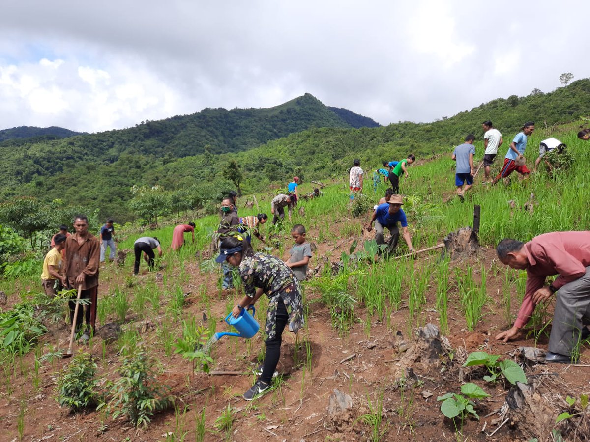 Churachandpur Forest tweet media