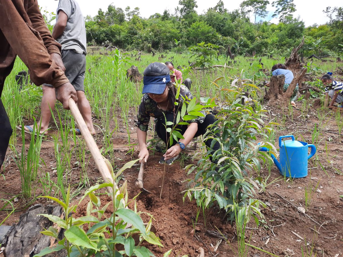 Churachandpur Forest tweet media