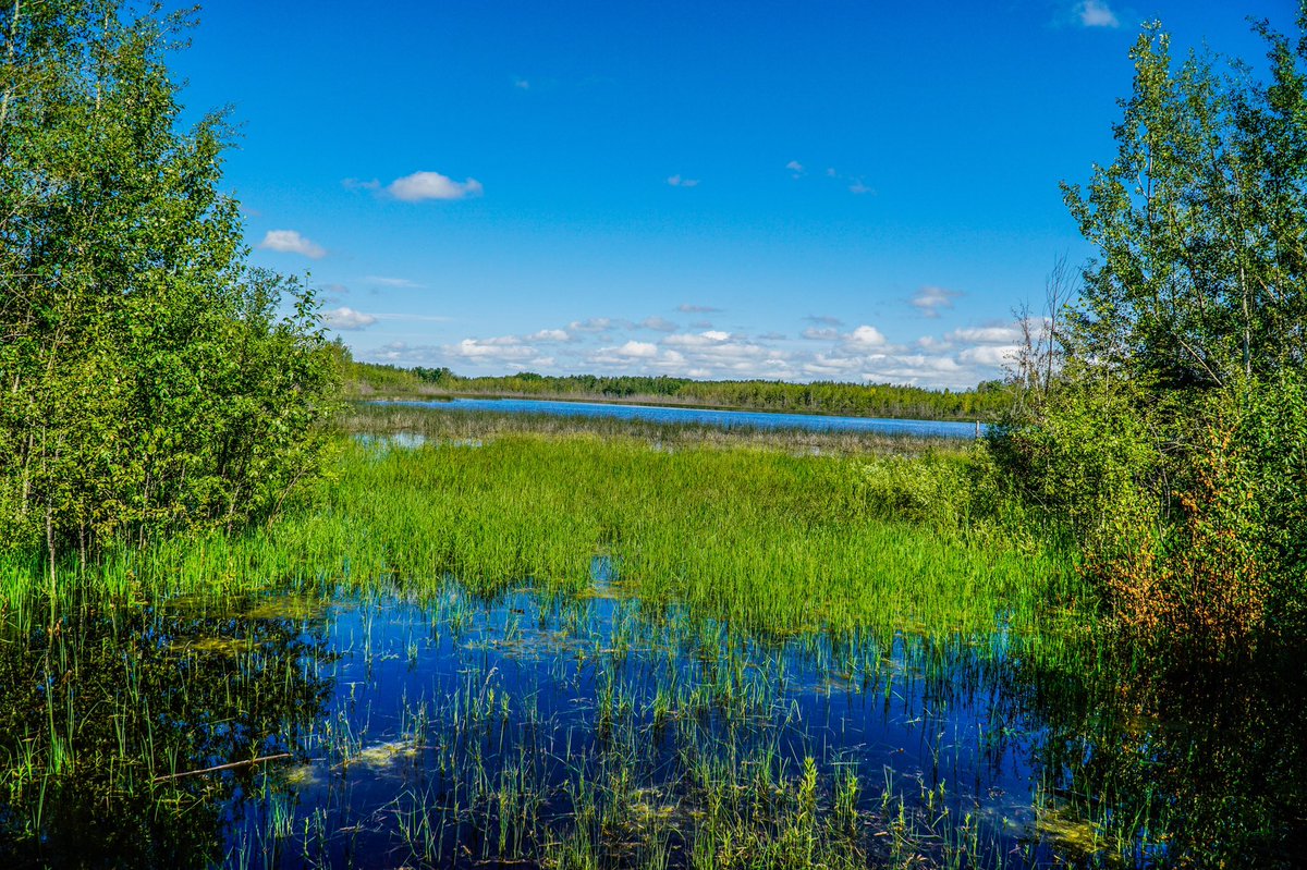 mlphotography77's tweet photo. Exploring the wilderness at Clifford E. Lee Nature Sanctuary with the kids.
#ruralalberta #shortdrives #yeg
#SonyAlpha https://t.co/G3TAcIl7ol