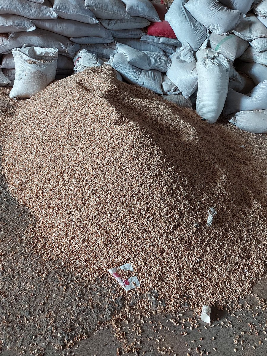 FINDIK KABUĞU SATIŞI (@karaelmaskomur) on Twitter photo 