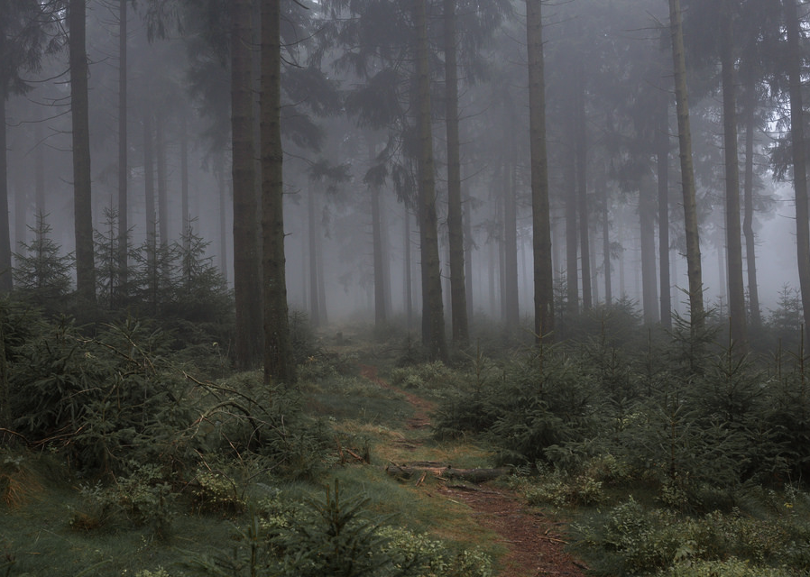 Archillect (@archillect) on Twitter photo 