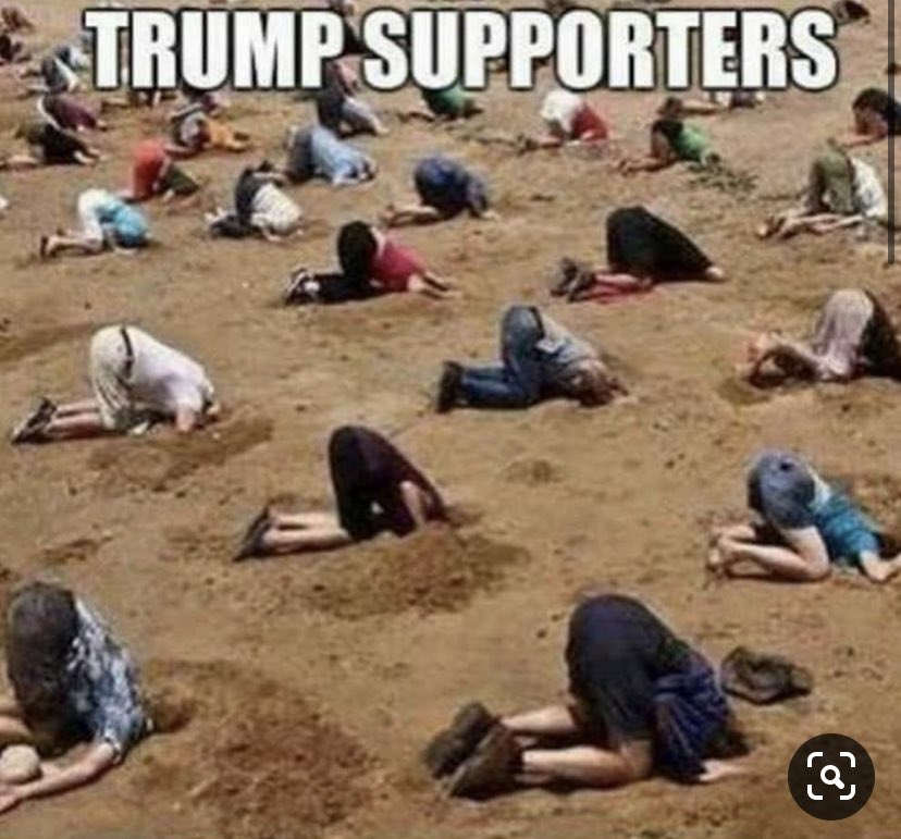 Happy 4th  #Resist  #FBRParty All followed @NYgrrl303 @kellypttrsn @DeborahGiacole2 @MarkKiwi2Resist @BidenForPOTUS20 @AnneECheck @Me78120345 @democraticitizn @jules6864 @JillybeanzAZ @GrandpaSnarky @Brooksie92627  @crisszmp @robin26140041 @walterecurtis @HaeringMike @hygypt  https://twitter.com/grandpasnarky/status/1279438250298441728