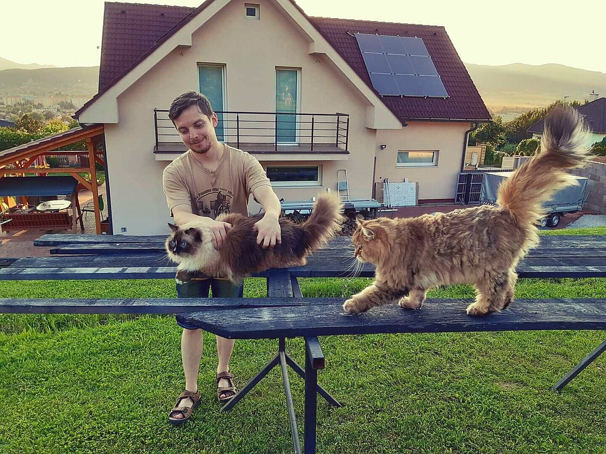 Dominik Hrebik tweet media