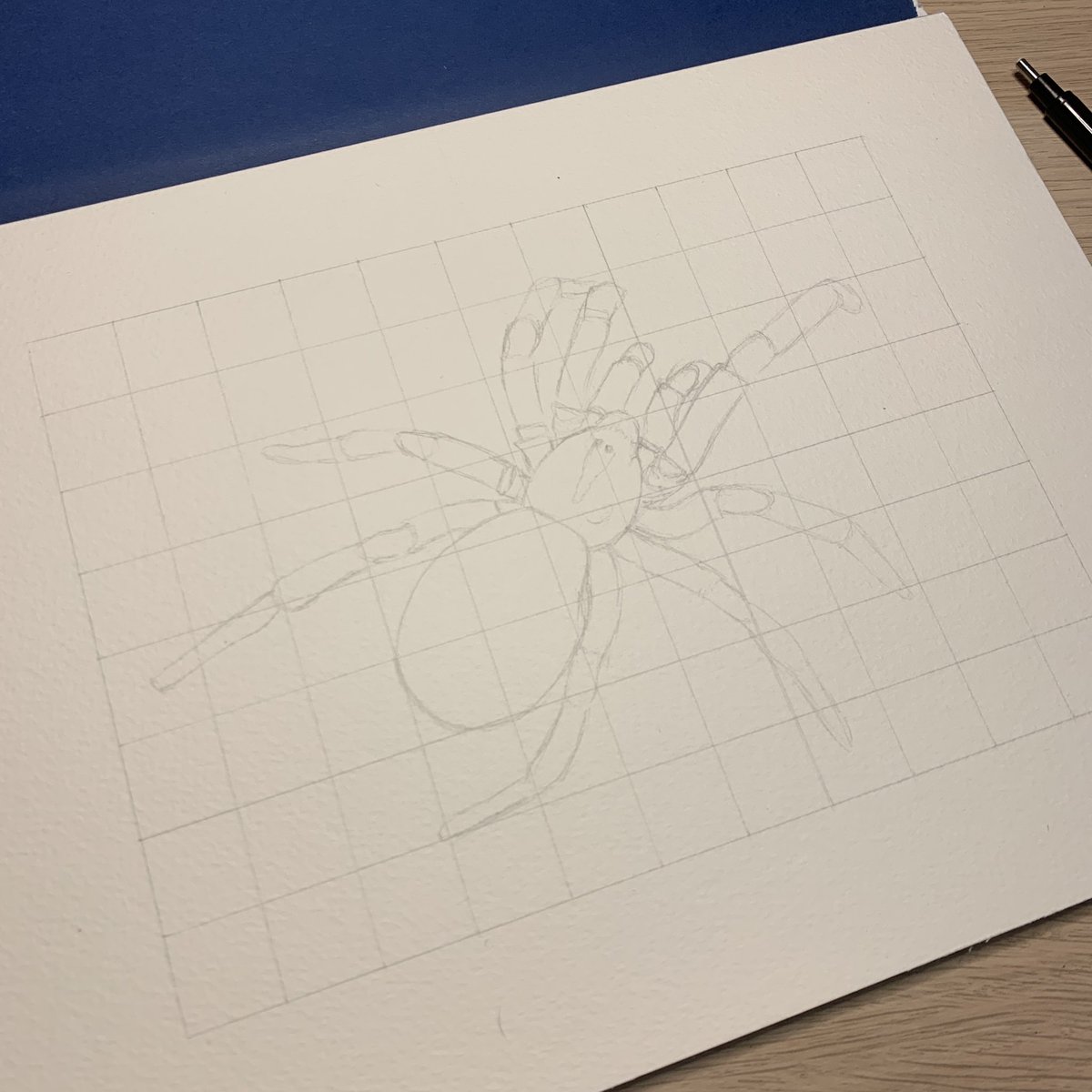 Now your grid is drawn, you can faintly map out the main shapes that comprise your subject within the grid. If you’re drawing from life, using a bounding box, you would plot out the most basic shapes that you see as a basis, e.g. an egg for abdomen, circle for cephalothorax etc.