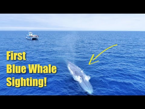 Orca News tweet media