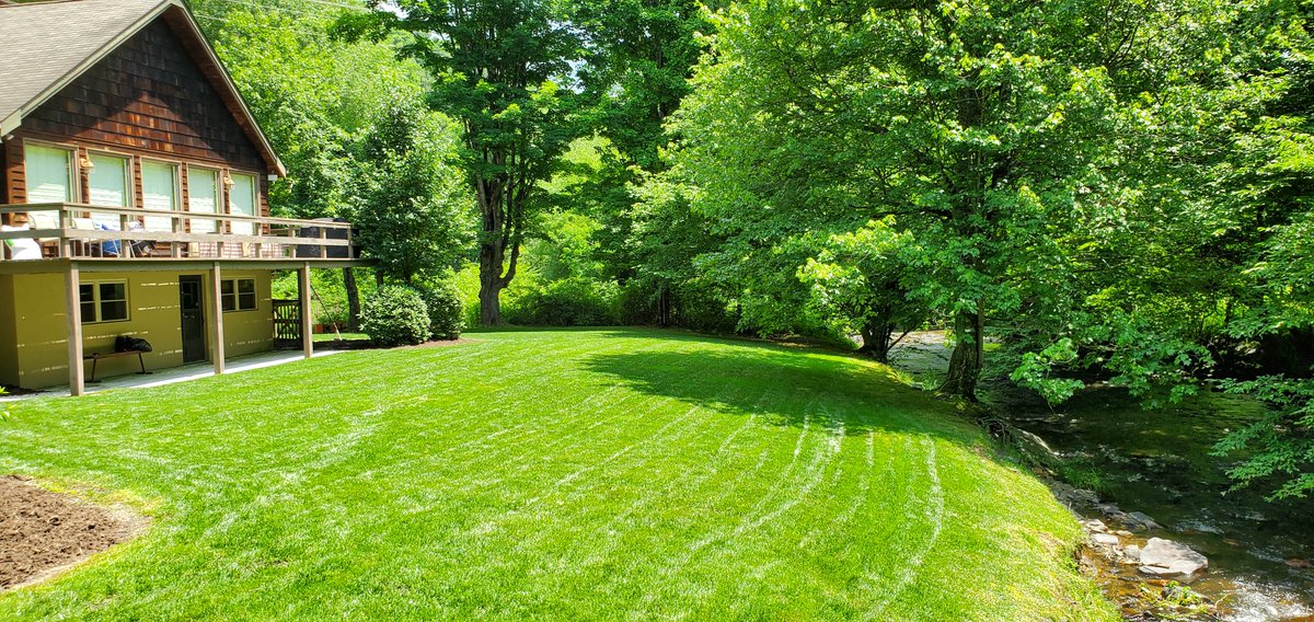 So_Ag_Hammer's tweet photo. The calendar says #4thofJuly2020 🎇🎆 , but my lawn thinks it's February 2nd! #GroundhogDay
#Dimension
#Barricade
#Anuew
#Proflex
#Merit
#FameSC
These weapons make it easy! Both broadleaf weeds in the front lawn are in for an application of #Surepower next week. https://t.co/uRZU1Kvg2J