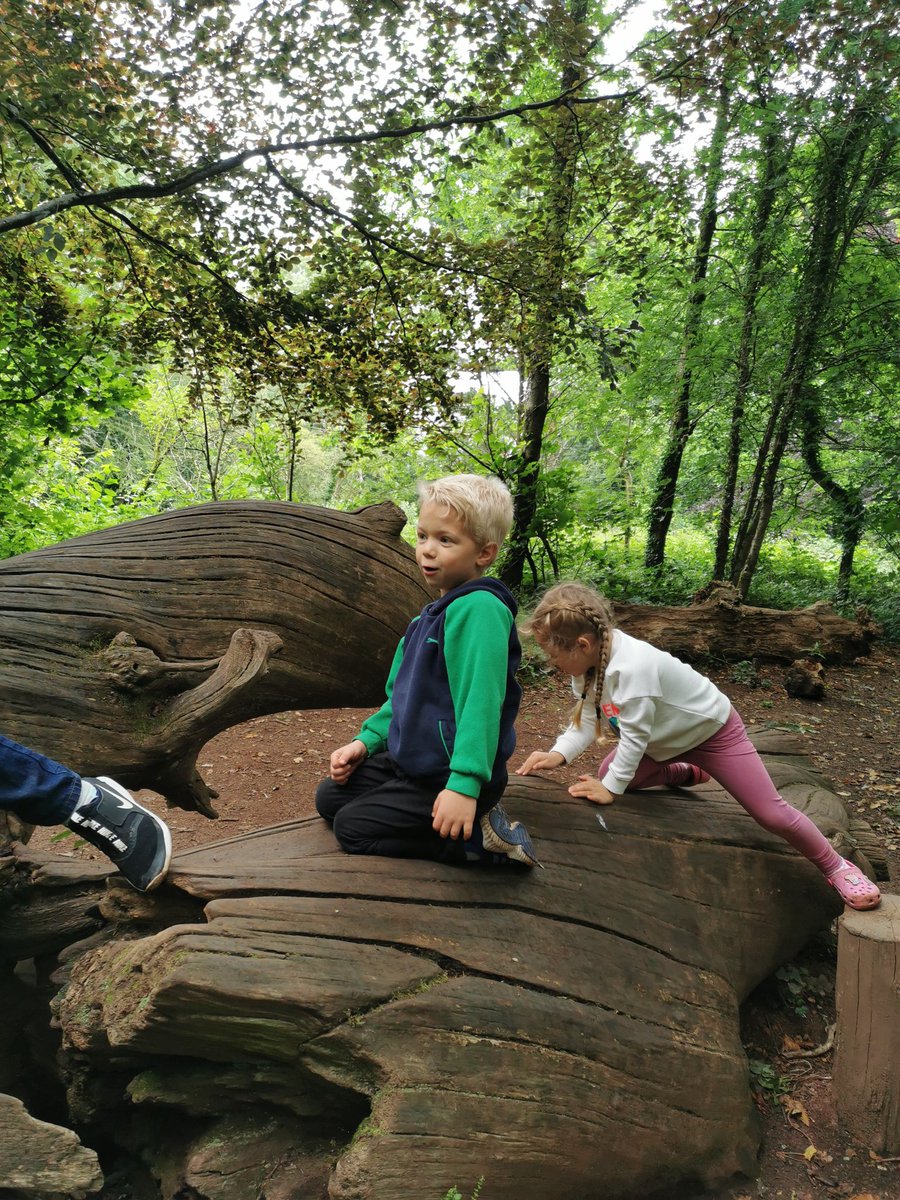 Michaela Gajova (@michaelavesely) on Twitter photo 