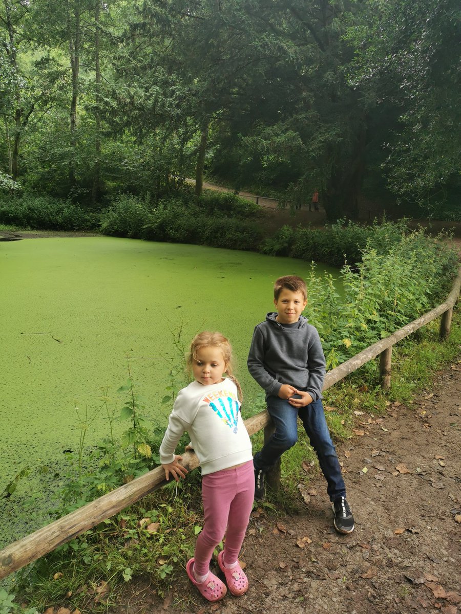 Michaela Gajova (@michaelavesely) on Twitter photo 