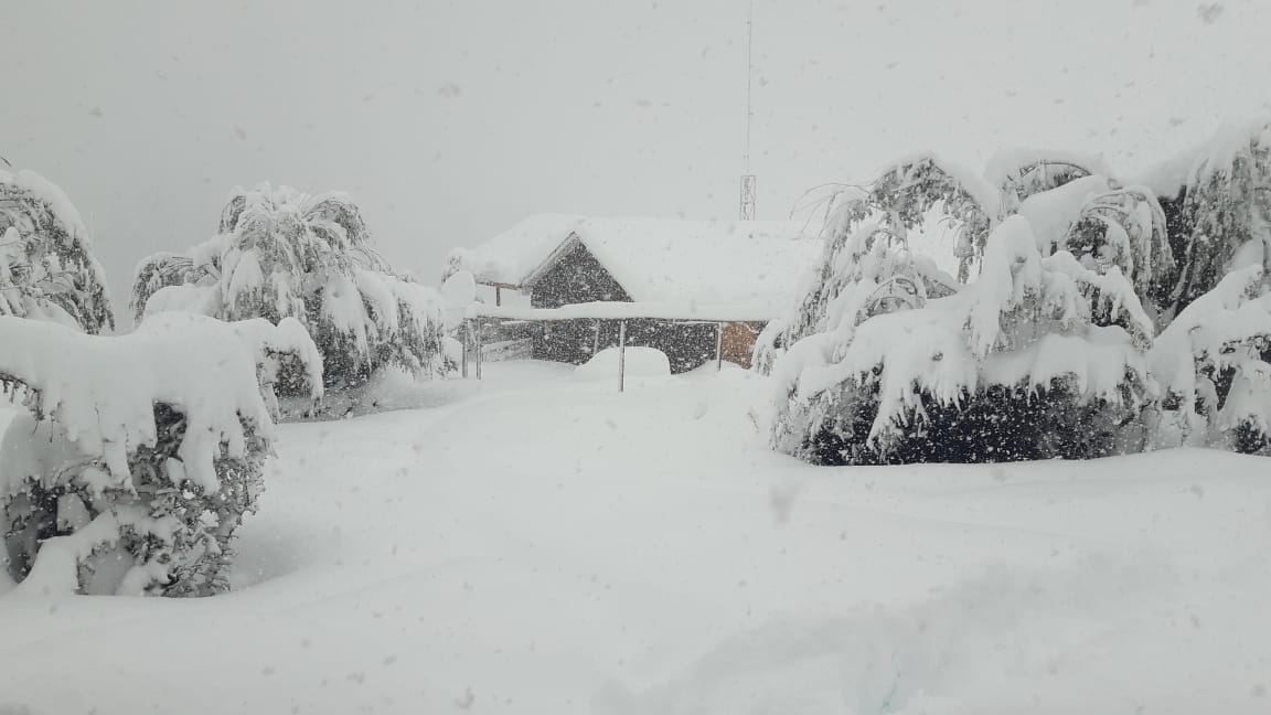 johanna carolina col (johannacolin) Twitter