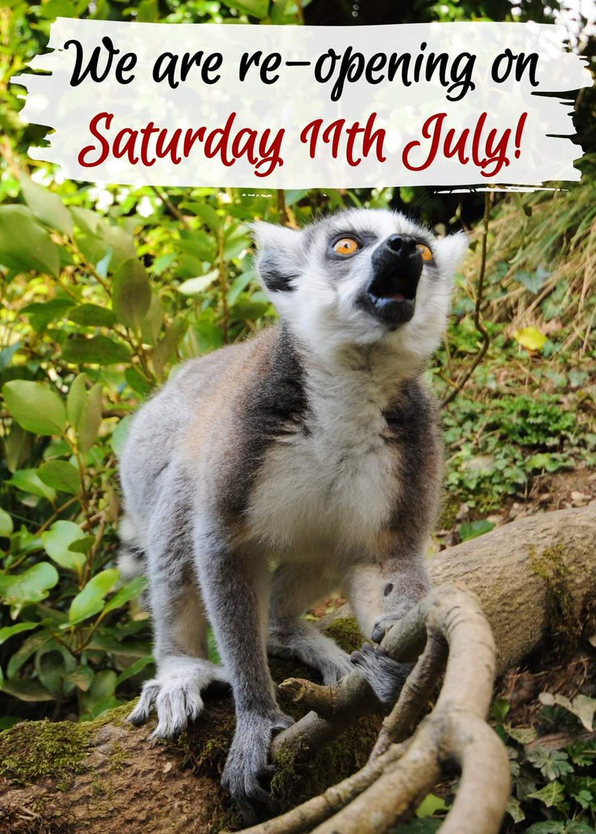 We are open from July 11th 
BOOK YOUR DAY SLOT &amp; TICKETS HERE: cmwdp.co.uk
Our pre-booking system is now ready to go &amp; dates are available to book. Remember, there are limited day slots available so make sure you book the date you wish to visit us as soon as possible.