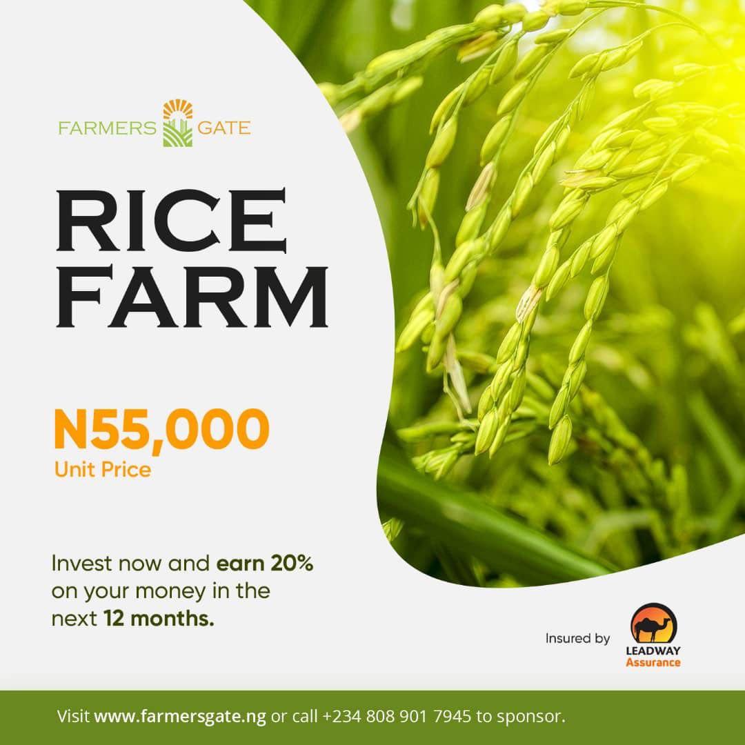 iamseunalaofin's tweet photo. To my fellow #CHEWAT and #WOLARS fans, i  want to introduce you to an investment platform for people who love farming called @farmers__gate
. 
You get a  guaranteed 20% ROI when you invest in the 'Farm For Me' project. To invest check  https://t.co/yrdTD2BM3l…

#FarmersGate https://t.co/iKMYSNGkxW