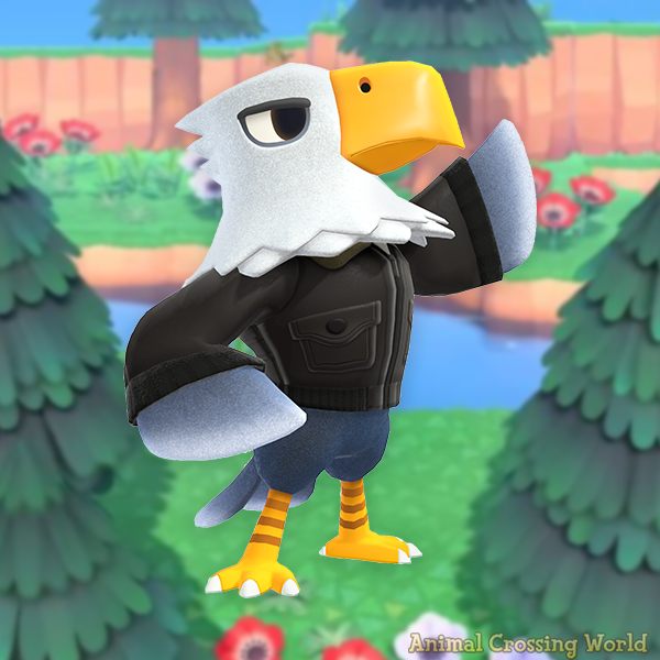 ACWorldBlog's tweet photo. Happy Birthday to Apollo! 🎉 🦅 #ACNH https://t.co/hZdC2GzuEM