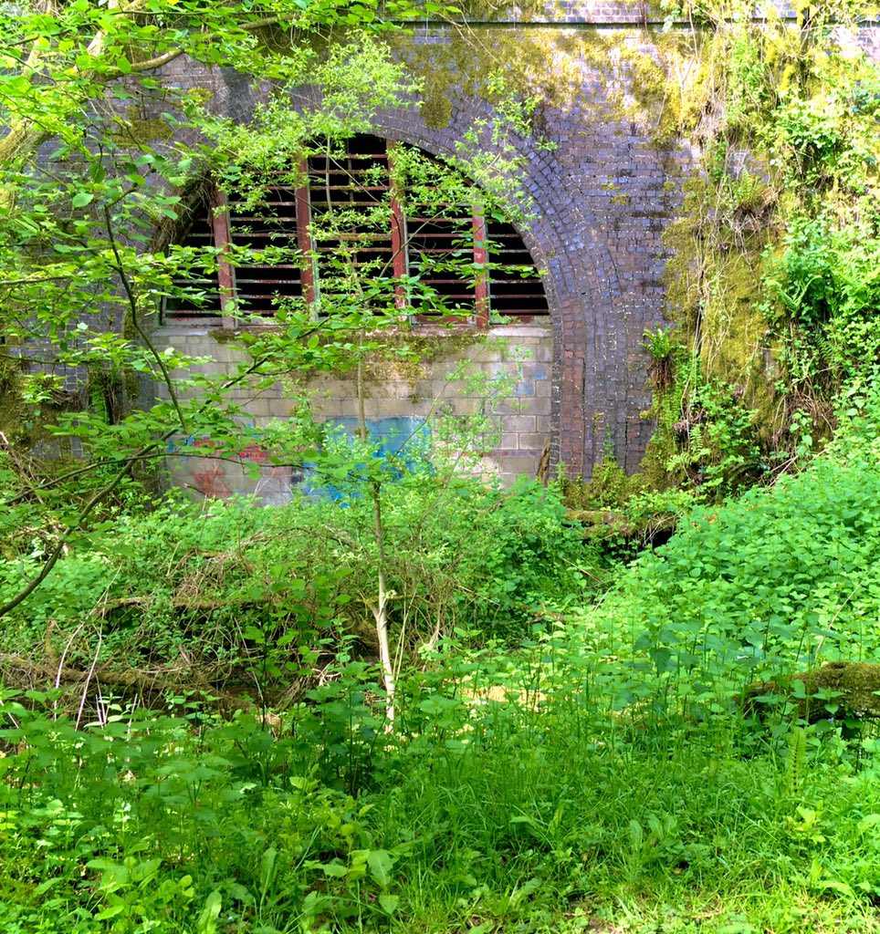 LouiseAJ1's tweet image. Final thought for today’s #MuseumsUnlocked Abandoned places: old railway line, closed during #Beeching cuts. Tunnel under #Horspath #Oxfordshire now occupied by bats. Old line mostly reclaimed by nature and the occasional graffitier (not me!)