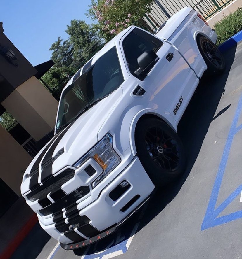 Shelby 😬
