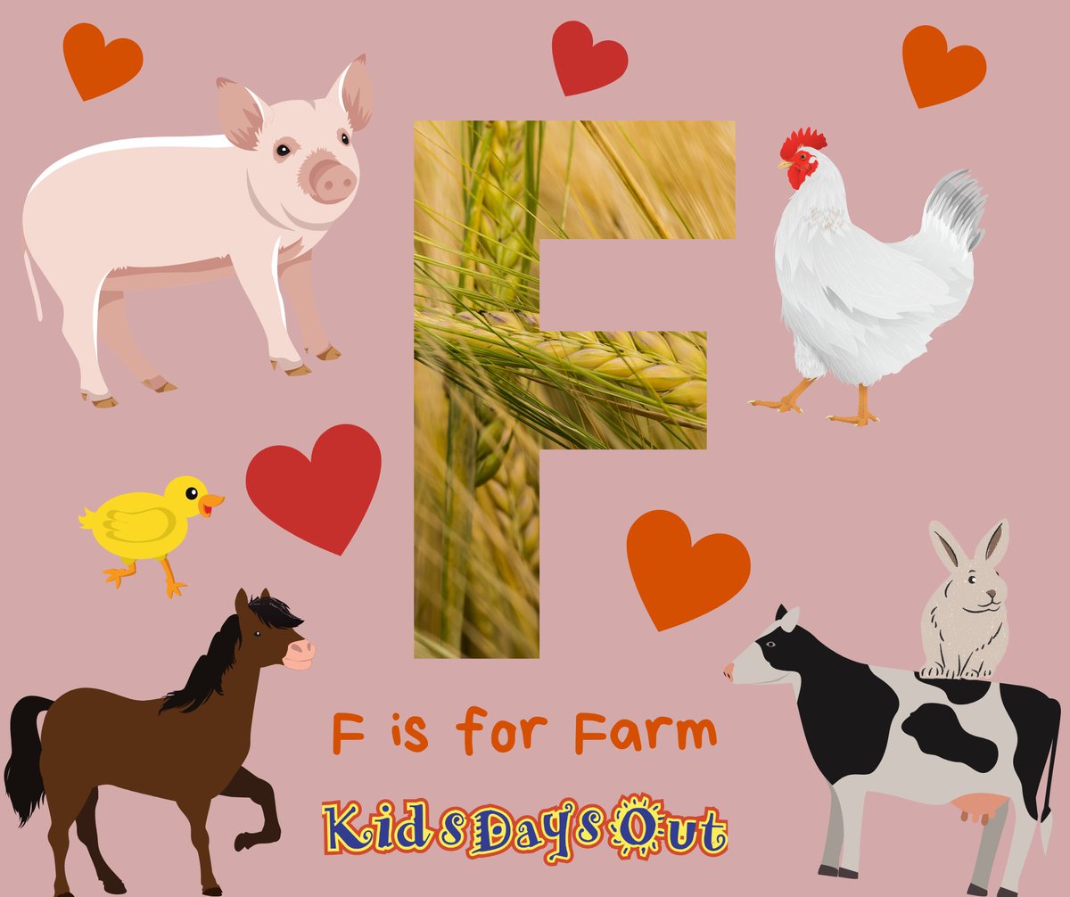 In our A-Z of Fun, Letter F is for Farm! 

Pay a visit to Farmer Gow’s. Enjoy the Animal workshops where friendly farm staff will lead you alongside the animal pens, walk and talk about each species! 

Find out more: kidsdaysout.co.uk/all/alphaindex…

Photos: Farmer Gows