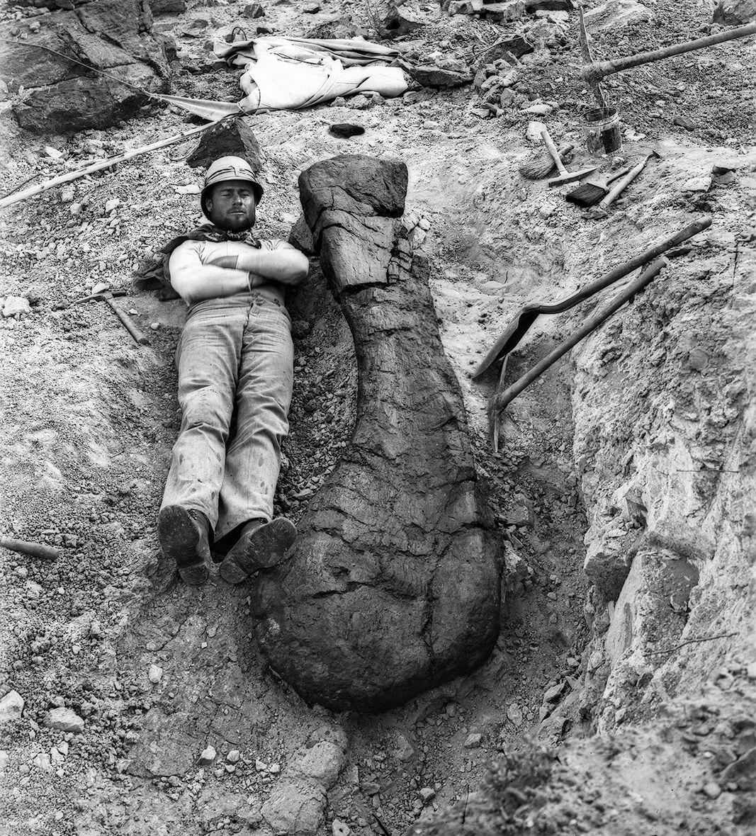 Field Museum on Twitter "OTD 120 years ago, Harold W. Menke found