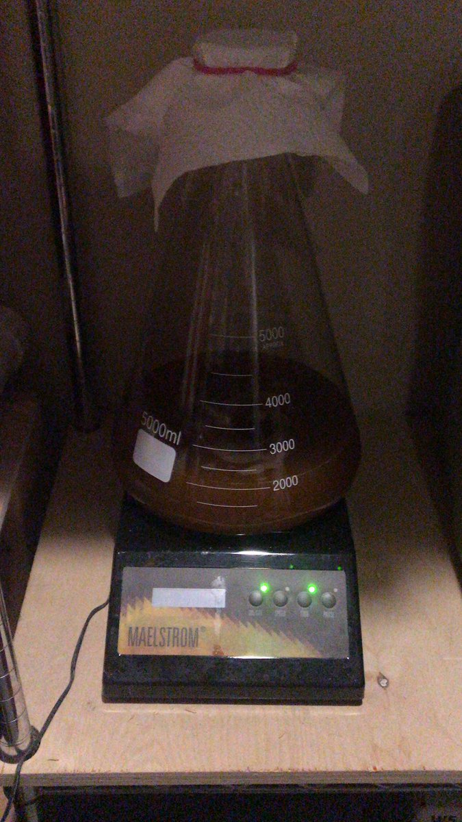 gamndood's tweet photo. @popculturebrews you’ll be happy to know that I have my starter going for tomorrow’s brew day! #homebrew #homebrewing #WLP001 #RyePA @shortcircuitbru @lhtetrick @juddchuck https://t.co/hLzq0dAbii