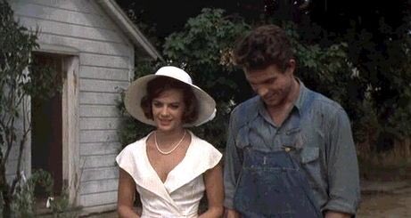 Esplendorenlahierba Twitter Search Twitter