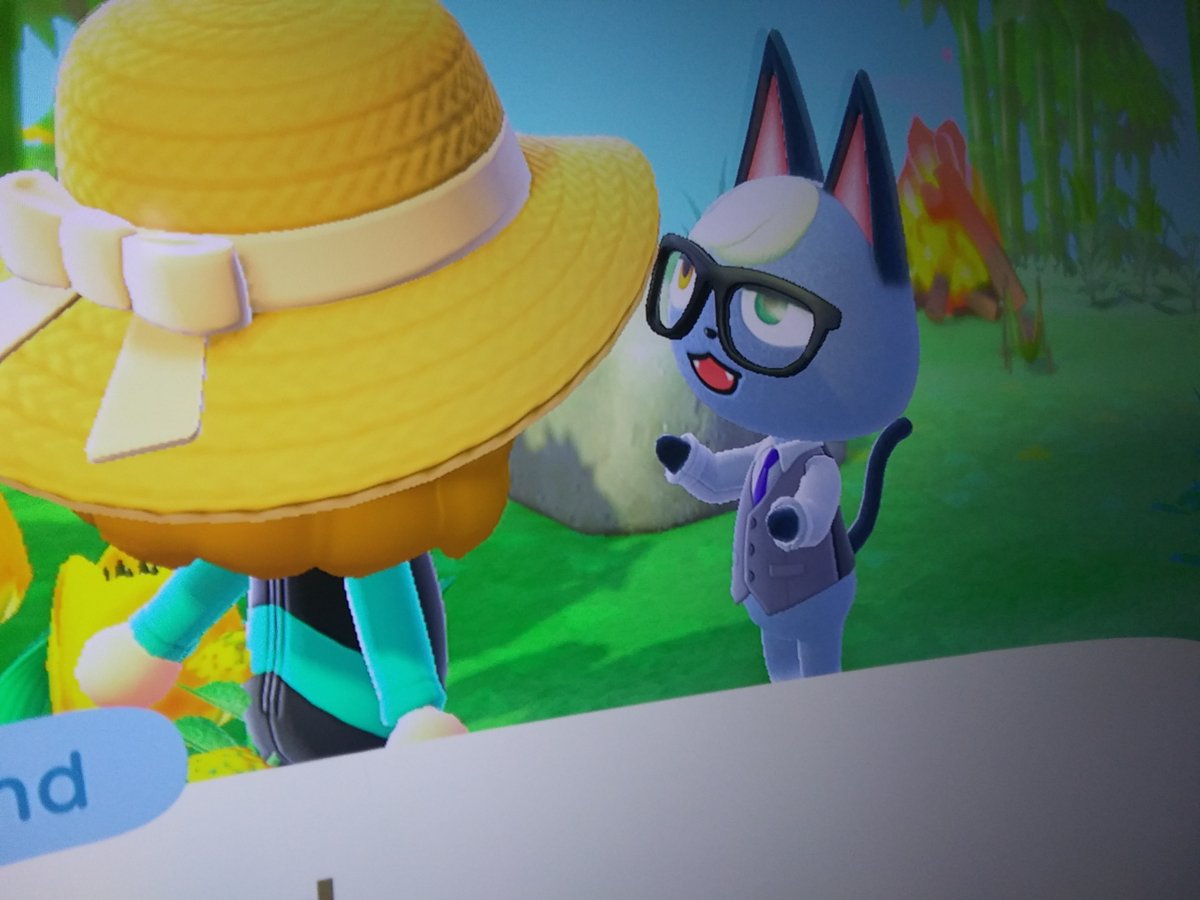 NancyDeVico's tweet image. ALERT: Have just been informed that my daughter got the villager named "Raymond" #AnimalCrossingNewHorizons Apparently this is BIG news! HUGE! #CluelessMom Yeah...I have no idea either.