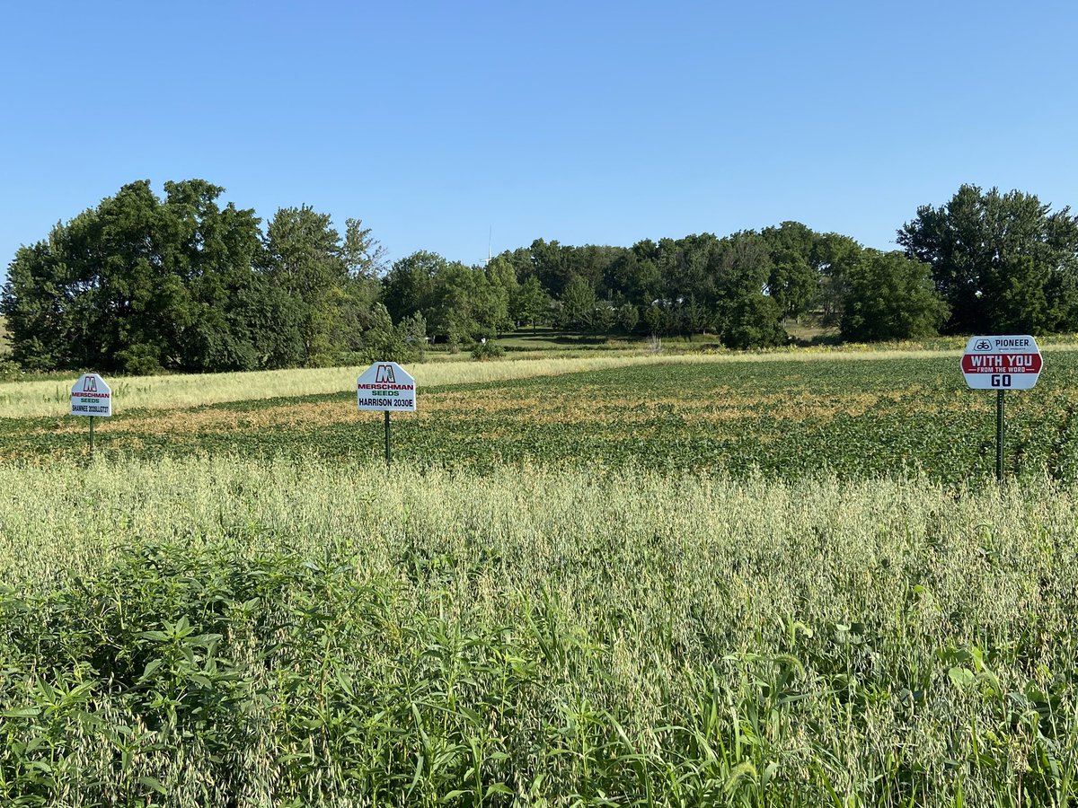 We would like to give a big thank you to our alumni and officer team for helping put up signs for the CAM FFA test plot!