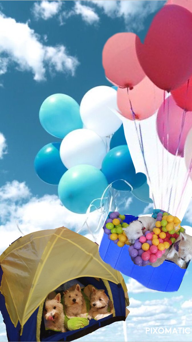 Ooo our we too late our Muvers have been twying too hire uz Baloons but non available so dey come up wiv dis idea 😱😱😱😱😱😱#zsst