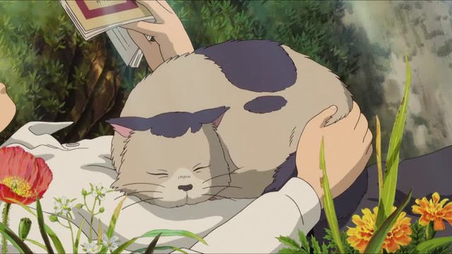 Anime Cat of the Day 🐾 — Anime Cat of the Day 10k Giveaway!