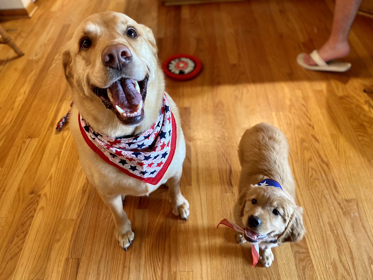 cooper_joerger's tweet photo. Oakley and I are feeling festive for the 4th of July ❤️💙 https://t.co/vdzj466zj3