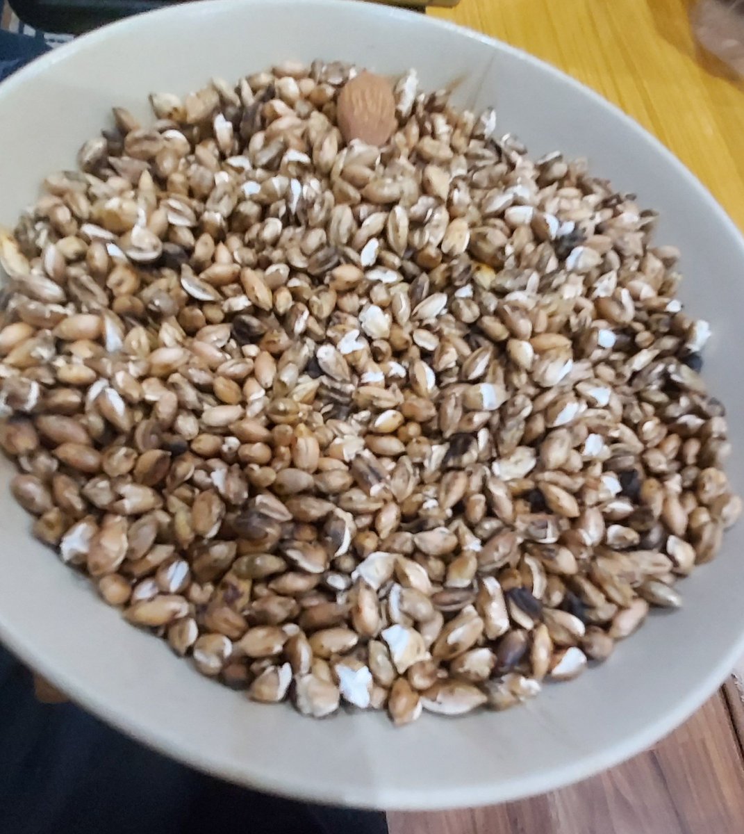 Roasted barley... Healthy snacks.... #Ladakhfood