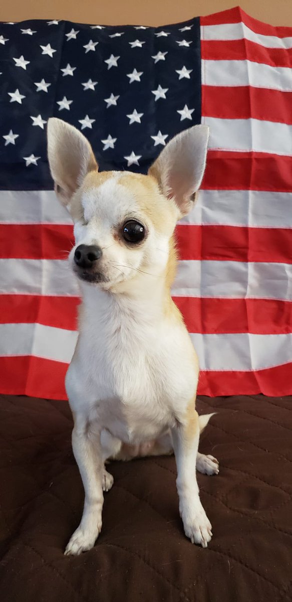 Survivor says Happy 4th of July. ❤🤍💙❤🤍💙