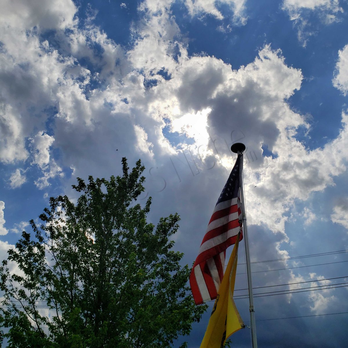 EllesNiche's tweet photo. God blessAmerica! 🇺🇲
#elles_niche #handmade #ellesniche #itssewhandmade #wereallinthistogether https://t.co/uYmjYxT9rr