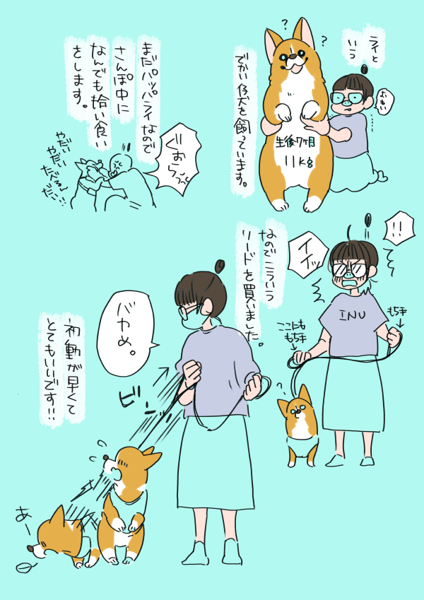 【絵日記】ありがとう ペティオさん  という話 