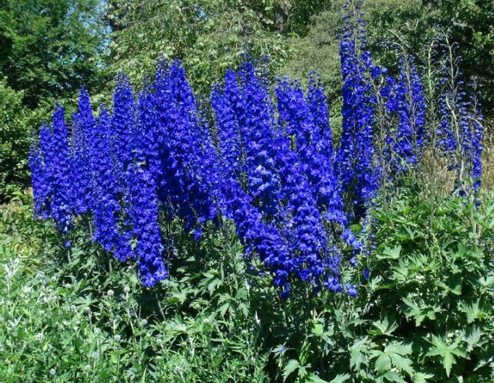 Steve Halliwell (@stevehalliwell5) on Twitter photo 