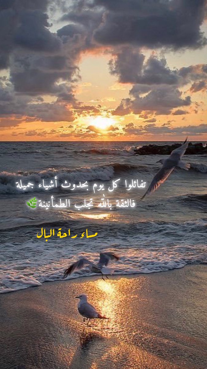 Bhour_h's tweet photo. https://t.co/COVhI2sCqz