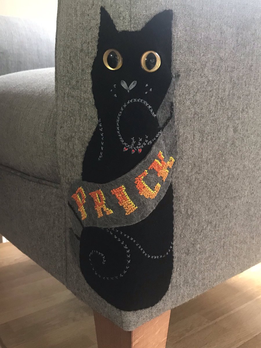 Fiona Lawson 💙 tweet media