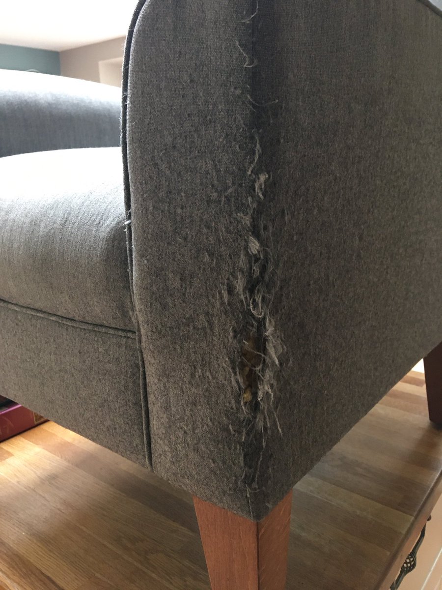 Fiona Lawson 💙 tweet media