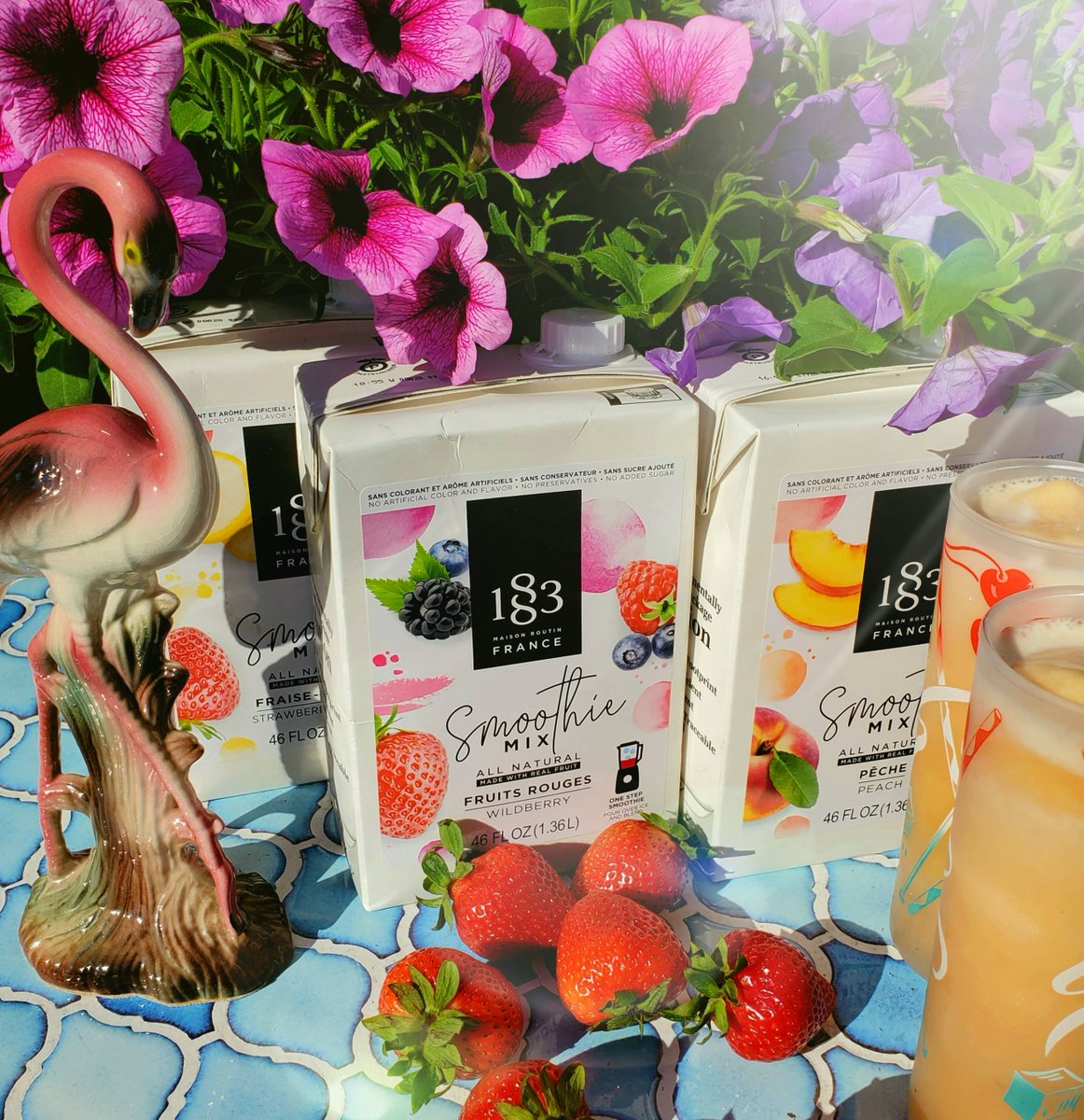 CaliberCoffee's tweet photo. Now available for summer—1883 Smoothie Mix! All natural, made with real fruit and no added sugar. Just pour over ice and blend! #FruitSmoothies #FrozenMargaritas #Daiquiris #GlutenFree #Vegan #1883 #BlendedDrinks #Flamingo #PinkFlamingo #RetroBarware #Saturdays #Patio #Beach https://t.co/N0tlJgPqOH