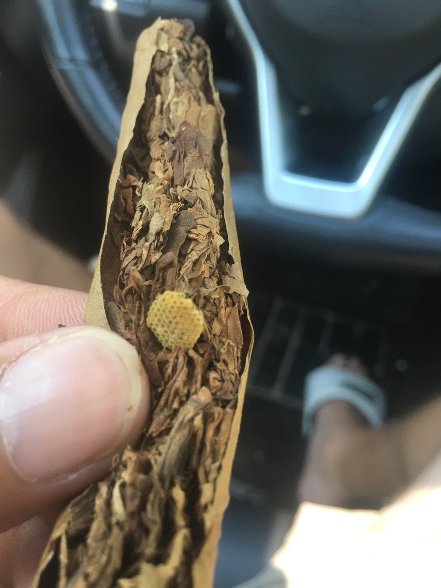 Literally honeycomb in my Dutch master