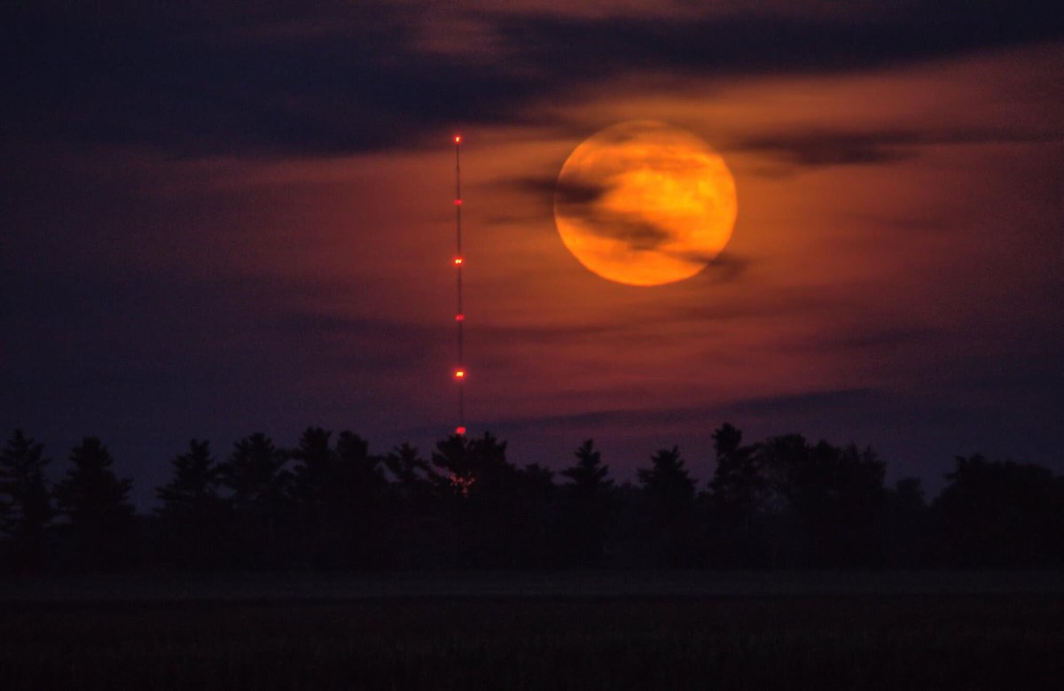 mark_tarello's tweet photo. PASS IT ON: Full Moon arrives tonight! During the month of July, this Moon is known as the Full Buck Moon. Photo courtesy of Doug DeDecker. #Moon #Space https://t.co/9uVirdSJjH