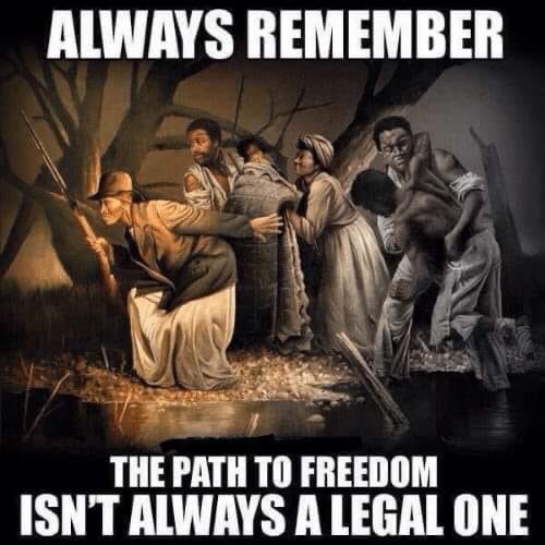 MdVet4's tweet photo. #independenceday2020 Memethread! Here are mine add yours!
#Secession
#4thofJuly
#76
#July4th
#1776
#revolution
#spiritof76
#spiritof1776
#Treason
#treasonday
#Independence
#bigigloo
#bigluau
#boogaloo
#boogaloobois
#fightingmongooses
#boog1.0 #america1776 https://t.co/ZCamqI6fSA
