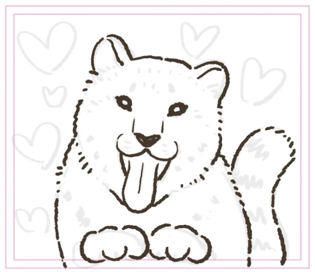 LINEスタンプの線画がおおむね終わってきた^^
今回はワイルドキャットをテーマに、スナネコから大型ネコ科までいろんなネコのスタンプ描いてます🐈💕
ユキヒョウは完全にフクちゃんに似せてしまったな…笑顔が可愛いんだもん…
そしてなんとなくで描いたマヌルネコが気に入ってる…😂 