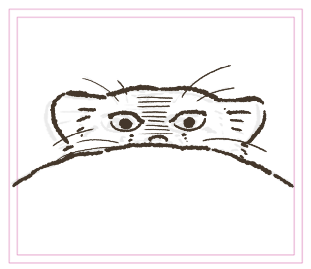 LINEスタンプの線画がおおむね終わってきた^^
今回はワイルドキャットをテーマに、スナネコから大型ネコ科までいろんなネコのスタンプ描いてます🐈💕
ユキヒョウは完全にフクちゃんに似せてしまったな…笑顔が可愛いんだもん…
そしてなんとなくで描いたマヌルネコが気に入ってる…😂 